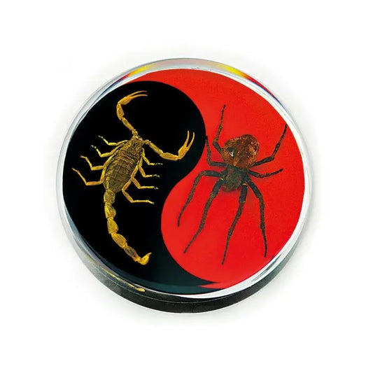 Crystal Clear Scorpion & Spider Paperweight Trendy Zone 21