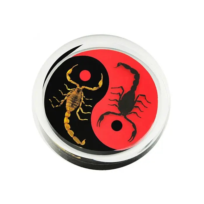 Crystal Clear Scorpion Yin-Yang Paperweight Trendy Zone 21