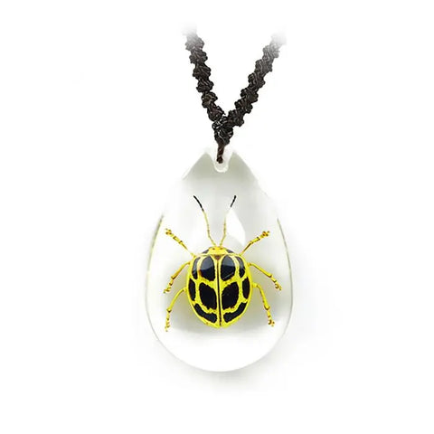 Spotted Leaf Beetle Necklace Trendy Zone 21