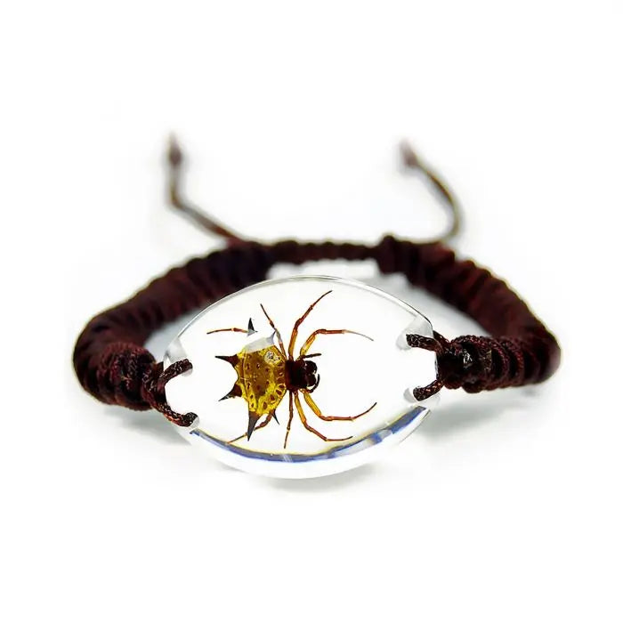 Spiny Spider Bracelet Trendy Zone 21