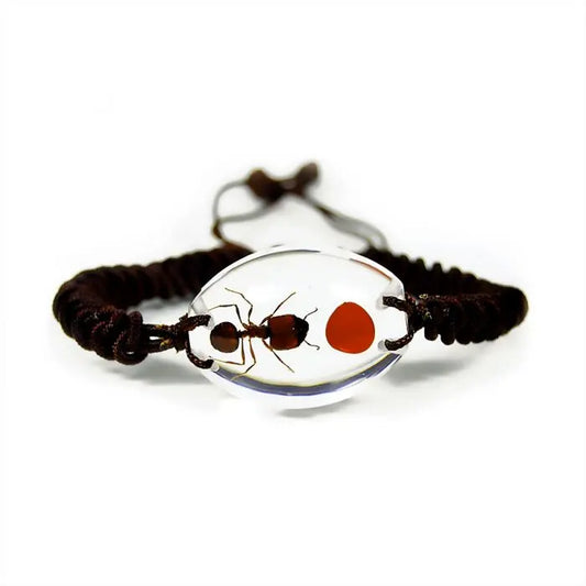 Lucky Bean and Ant Bracelet Trendy Zone 21