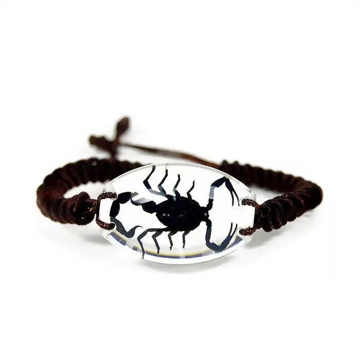 Black Scorpion Bracelet Trendy Zone 21