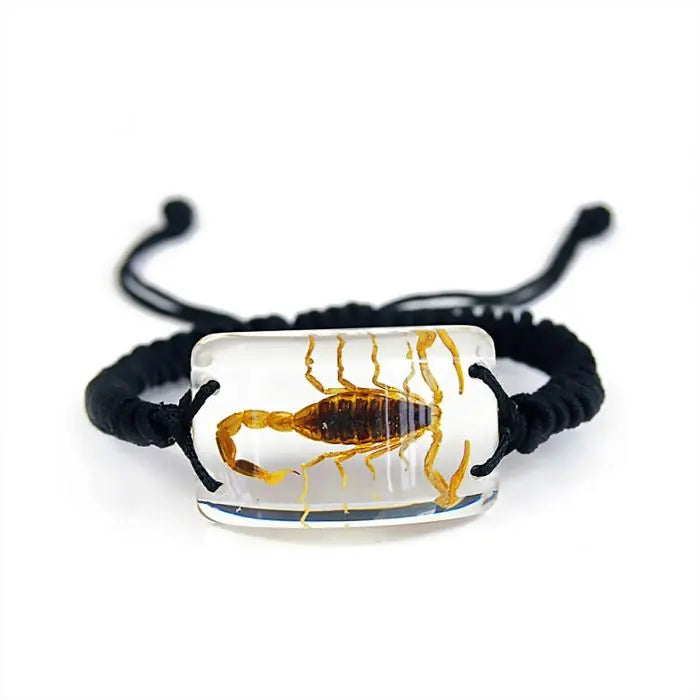 Brown Scorpion Bracelet Trendy Zone 21