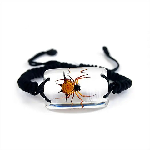 Spiny Spider Bracelet Trendy Zone 21