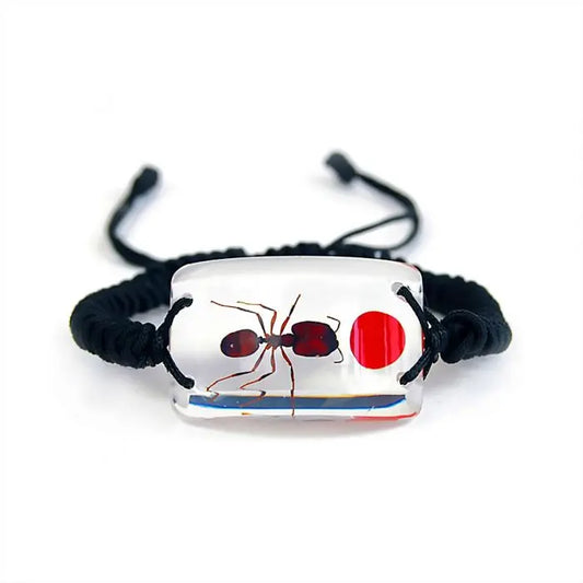 Lucky Bean and Ant Bracelet Trendy Zone 21