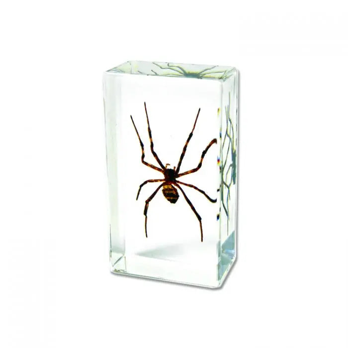 Spider Paperweight Trendy Zone 21
