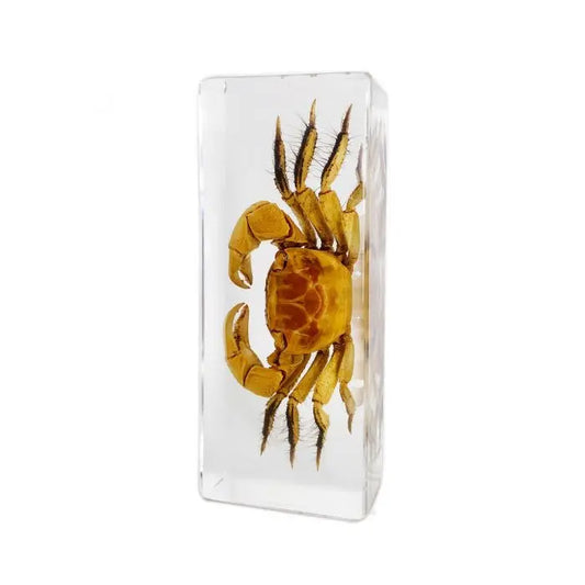 Crab Paperweight (Large)
