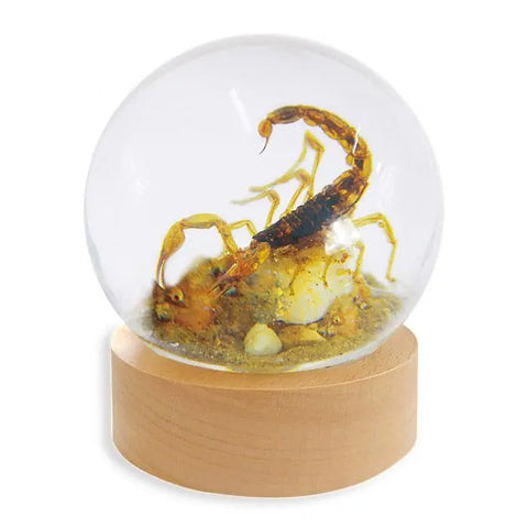 Scorpion Globe Decoration Trendy Zone 21