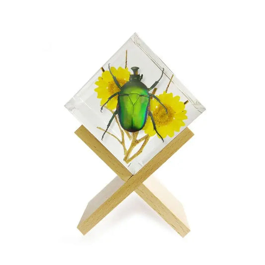 Green Rose Chafer Beetle Cube Decoration Trendy Zone 21