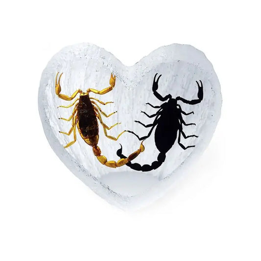 Scorpion & Black Scorpion Heart-shaped Desk Decoration Trendy Zone 21