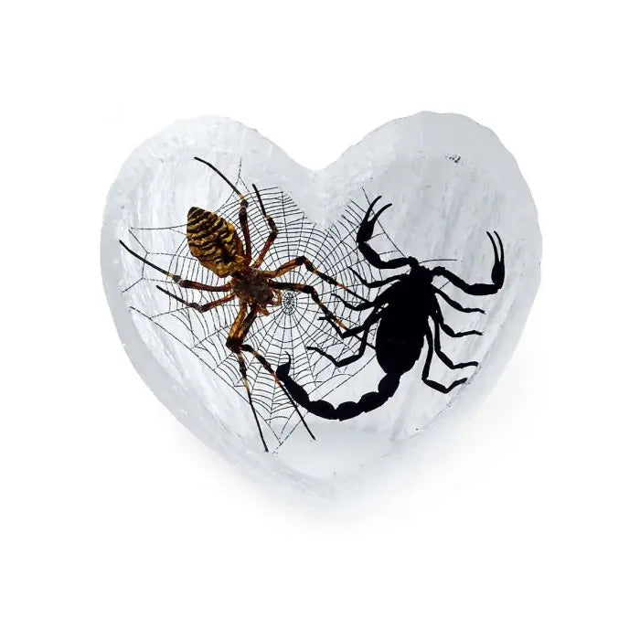 Spider & Black Scorpion Heart-shaped Desk Decoration Trendy Zone 21