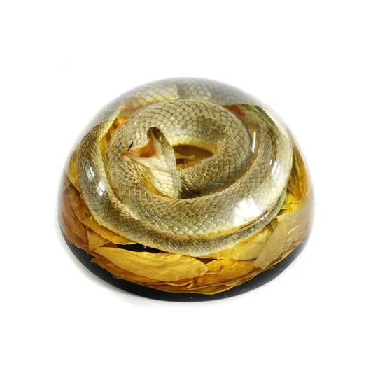 Snake Half-dome Paperweight