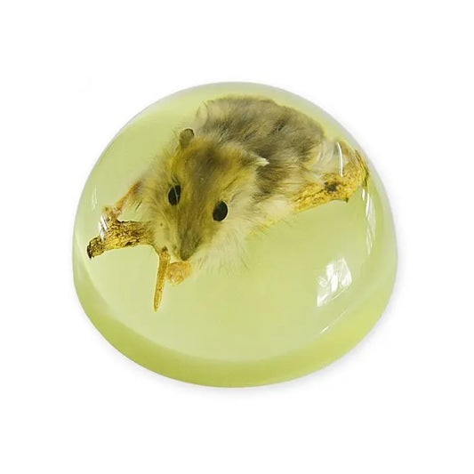 Hamster Half-dome Paperweight (Glows-In-The-Dark)