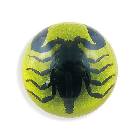 Black Scorpion Half-dome Paperweight (Green) Trendy Zone 21